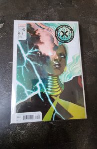 Immortal X-Men #11 Hans Cover (2023)