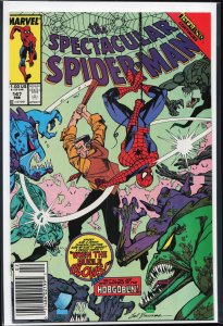 The Spectacular Spider-Man #147 (1989) Spider-Man