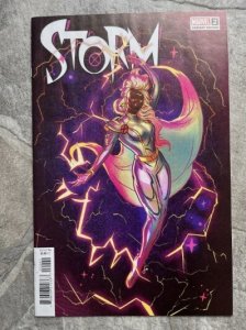STORM # 2 MARVEL COMICS 2025 VARIANT FERNANDA SOUZA NM
