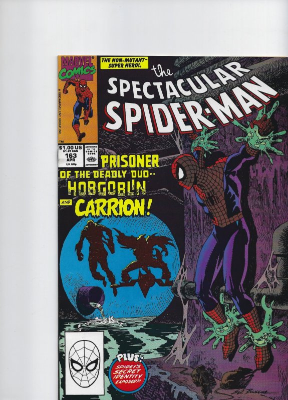 The Spectacular Spider-Man #163 (1990)