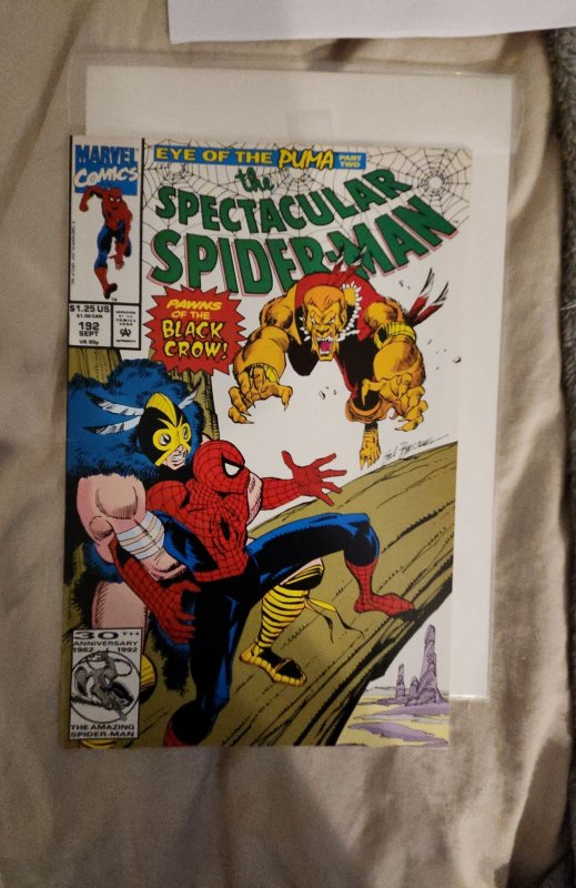 The Spectacular Spider-Man #192 (1992) Spider-Man 