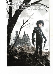 Edward Scissorhands #1 (2014) Rare Super-High-Grade NM Variant 1-B Wow, wow, wow