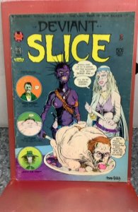 Deviant Slice Comix #2 (1973)