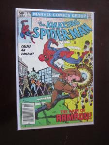 Amazing SpiderMan #221 Newsstand - 7.0 - 1981