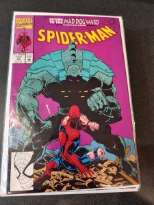 Spider-Man #31 (1993)