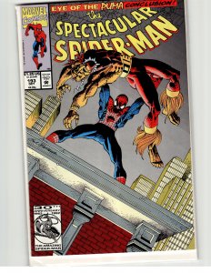 The Spectacular Spider-Man #193 (1992) Spider-Man