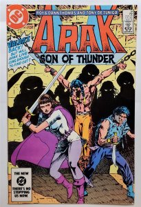 Arak Son of Thunder #38 (Nov 1984, DC) 8.0 VF