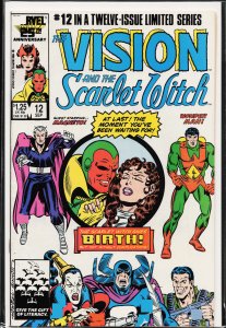 The Vision and the Scarlet Witch #12 (1986) The Vision [Key Issue]