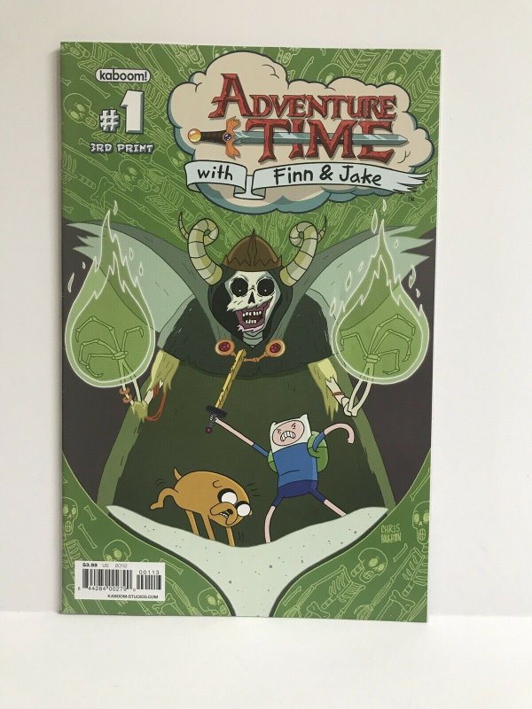 Adventure Time With Finn And Jake #1  ~ 3rd Print