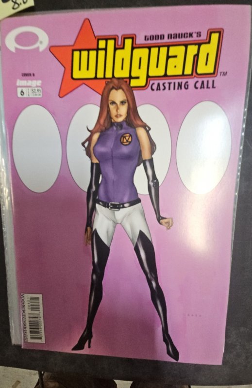 Wildguard: Casting Call #6 Variant Cover (2004)