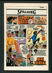 Human Fly #11  ( 9.0 VFN/NM ) Robbins/Chan Cover / 1978