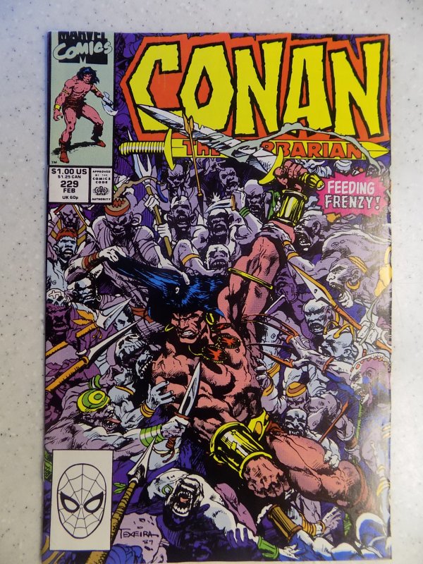 CONAN THE BARBARIAN # 229