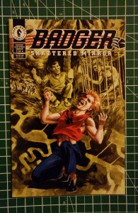 Badger: Shattered Mirror #3 (1994)