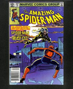 Amazing Spider-Man #227 Black Cat!