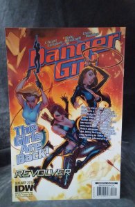 Teenage Mutant Ninja Turtles #6 Cover RI (2012)