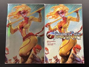 THUNDERCATS #1 CVR E IVAN TAO + W 1:50 VIRGIN FOIL VAR DYNAMITE 2024 PROSHIPPER