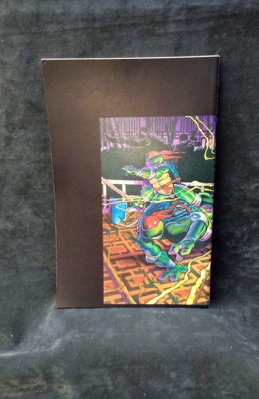 Teenage Mutant Ninja Turtles #9 (1986)