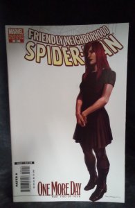 Friendly Neighborhood Spider-Man #24 White Cover (2007)