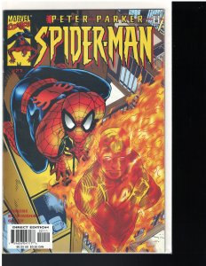 Peter Parker: Spider-man #21 (Marvel, 2000)