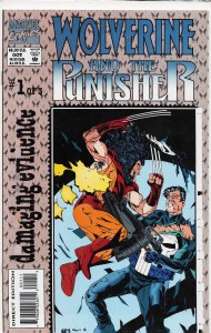 Wolverine and the Punisher: Damaging Evidence #1 (1993) Punisher