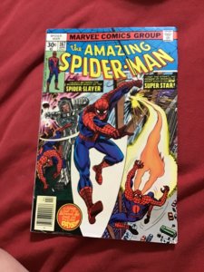 The Amazing Spider-Man #167 (1977) New Spidey-Slayer! High-Grade VF/NM Utah CERT