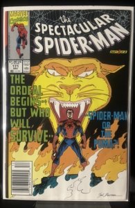 The Spectacular Spider-Man #171 (1990)