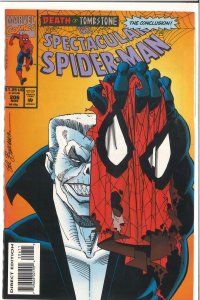 The Spectacular Spider-Man #206 (1993) 9.8 NM/MT