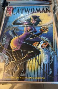 Catwoman #1 (1993) Catwoman 