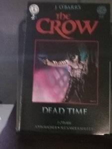 Crow: Dead Time #3 (1996)