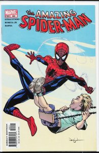 The Amazing Spider-Man #502 (2004)