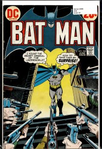 Batman #249 (1973) Batman