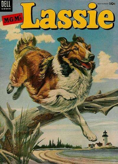 Lassie #17, Good (Stock photo)