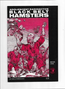 Adolescent Radioactive Black Belt Hamsters #1 (1986)
