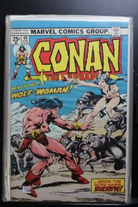 Conan the Barbarian #49 (1975)