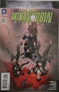 Batman and Robin Eternal #25 (2016)