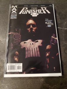 The Punisher: MAX #20 (2007)