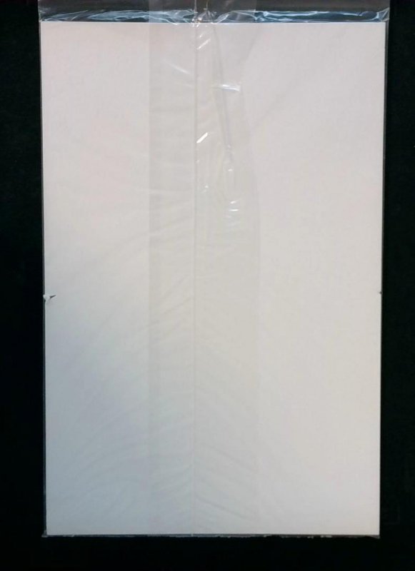 Black Panther #1, NM Sealed Collector Corps Variant, Marvel