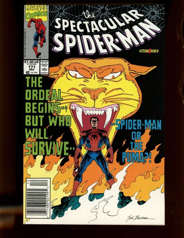 (1990) Spectacular Spider-Man #171 - ORDEAL (9.2 OB)