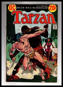 Edgar Rice Burroughs' Tarzan #217 (1973) / ECA5x