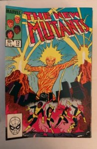 The New Mutants #12 (1984)
