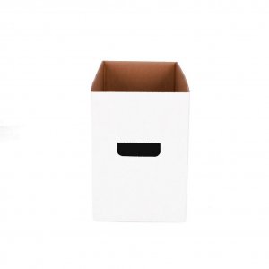 Short Comic Storage Box Pack of 10