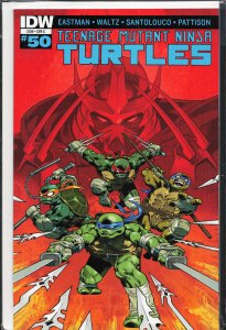 Teenage Mutant Ninja Turtles #50 Cover C (2015)