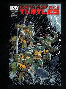 Teenage Mutant Ninja Turtles (2011) #8 Gane Variant 1:10 Retailer Incentive