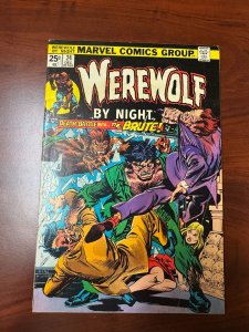 Werewolf by Night #24 (1974)
