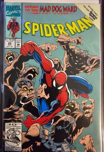 Spider-Man #29 (1992)