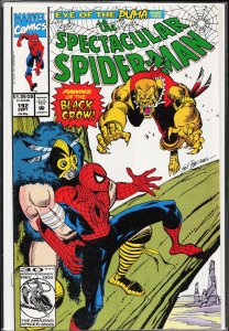 The Spectacular Spider-Man #192 (1992) Spider-Man