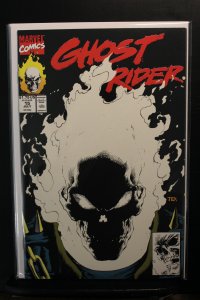 Ghost Rider #15 (1991)