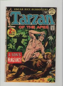 Tarzan #208 - A Son's Vengeance! - 1972 (Grade 7.0) WH