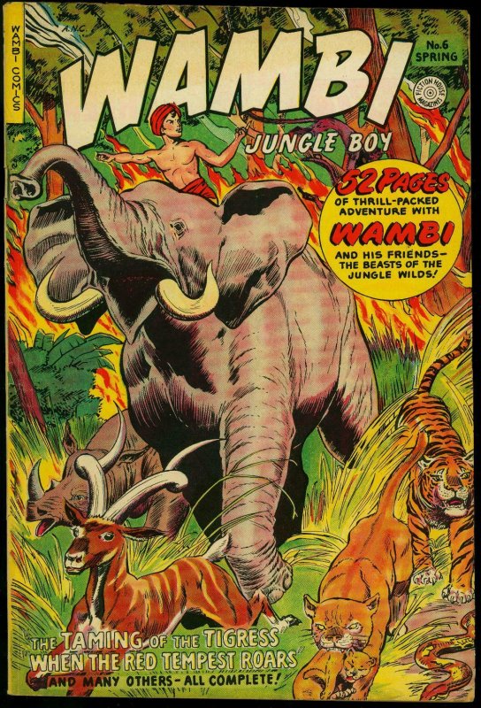 Wambi Jungle Boy #6 1950- Golden Age-Fiction House tiger cover VG/FN 