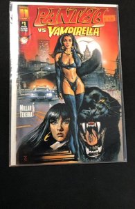 Vampirella vs. Pantha (1997)